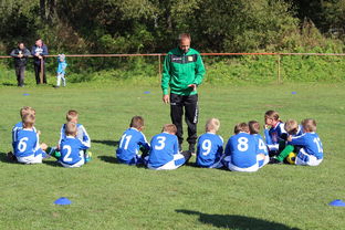 九游娱乐app下载-德甲球队战术模拟平台辅助比赛策略调整的应用研究，德甲游戏